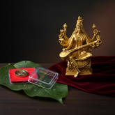 Brass Divine Set (Matangi Brass Idol & Coin Bundle)