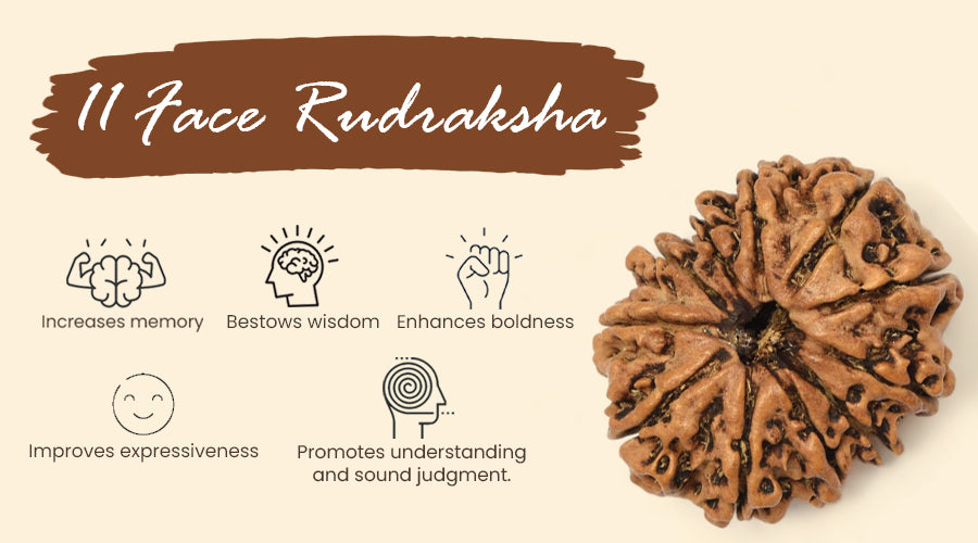 The Secret Benefits of 11 Face Rudraksha You Need to Know