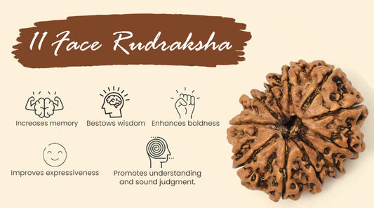The Secret Benefits of 11 Face Rudraksha You Need to Know