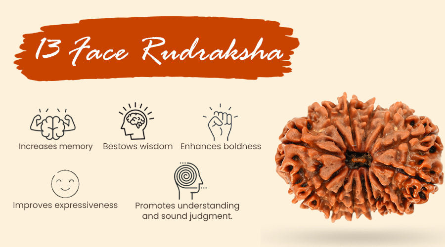 Everything You Need to Know About 13 Face Rudraksha