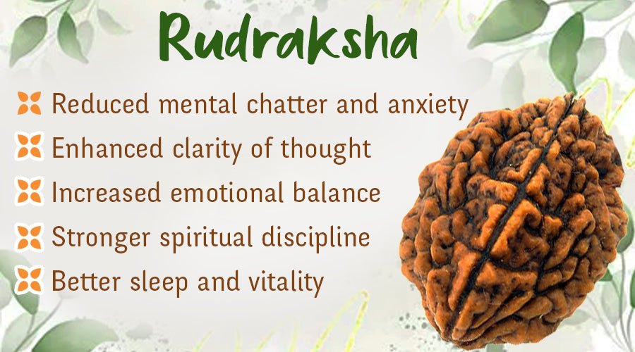 Sacred Science of Rudraksha Key Practices for Energy and Clarity Explained