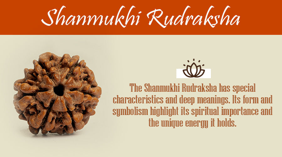 Shanmukhi Rudraksha Benefits for Spiritual Growth and Wellness