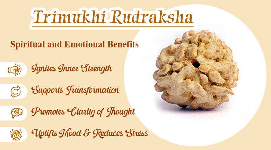 Trimukhi Rudraksha: The Three-Faced Blessing of Agni for Clarity, Courage & Transformation