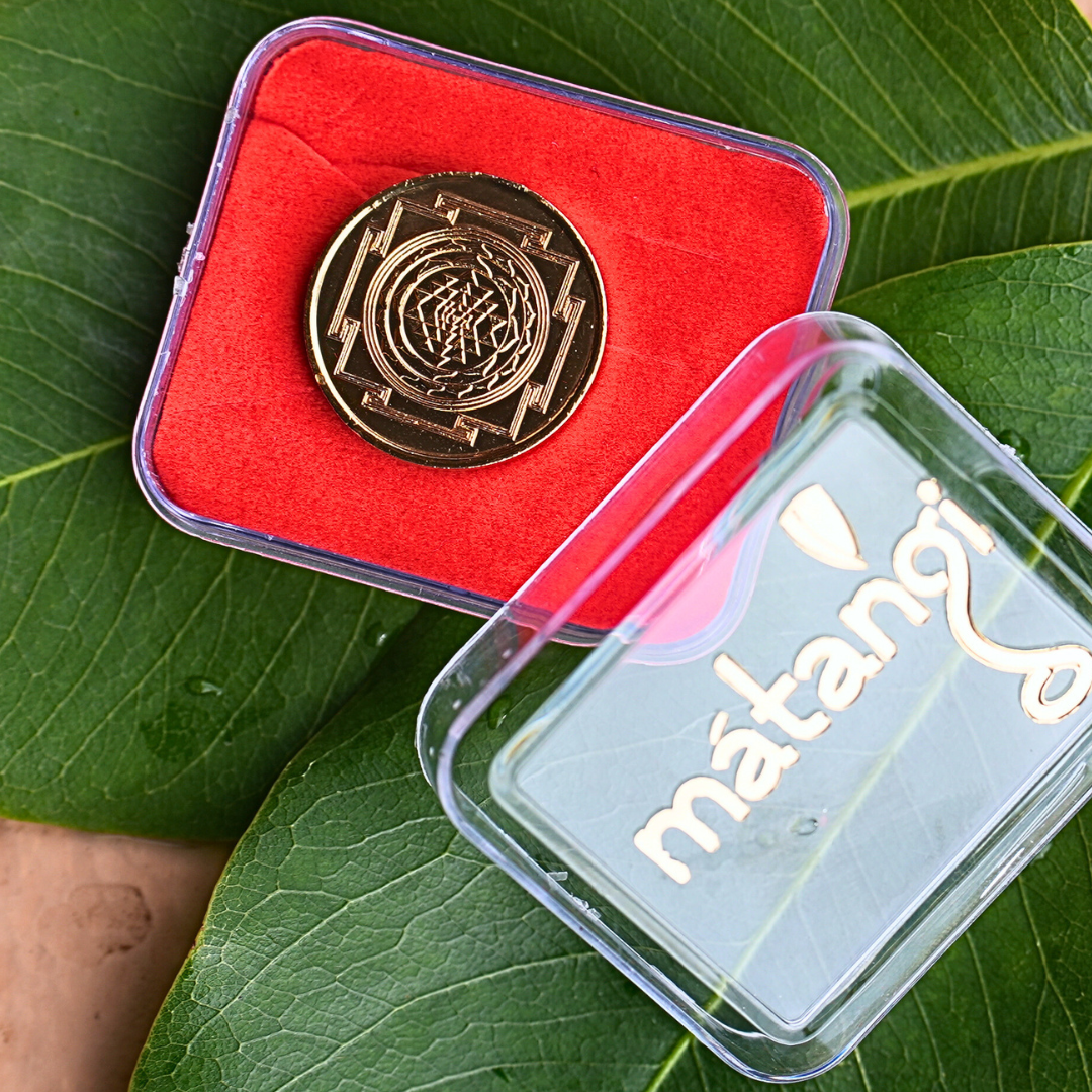 Raja Matangi Coin