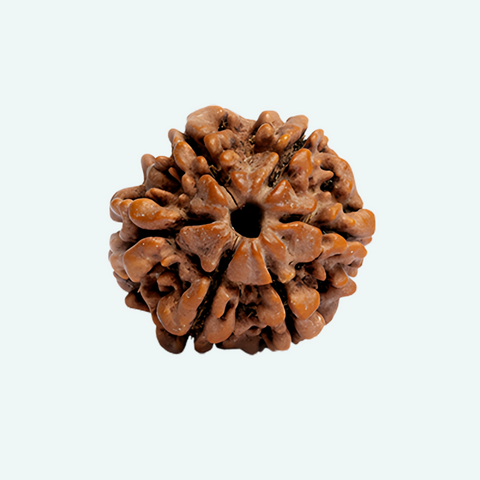 Shanmukhi Single (6 Face)