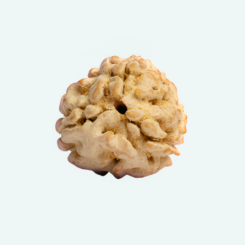 Trimukhi Single (3 Face)