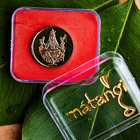 Raja Matangi Coin